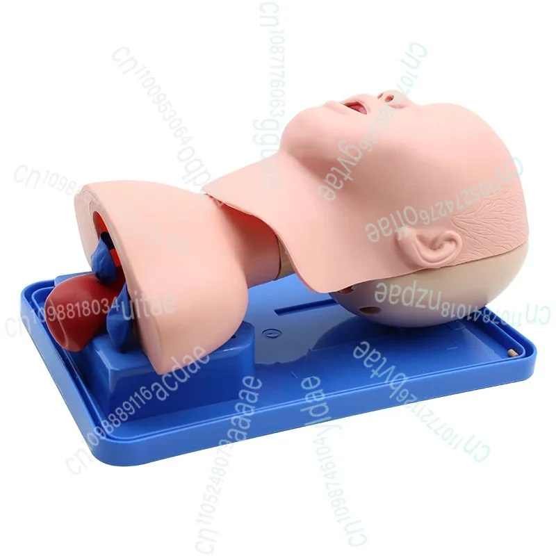 نموذج التنبيب الرغامي لحديثي الولادة/الرضع التناظرية مزدوجة الرئة والفم والأنف مجرى الهواء الرغامي محاكاة التدريس