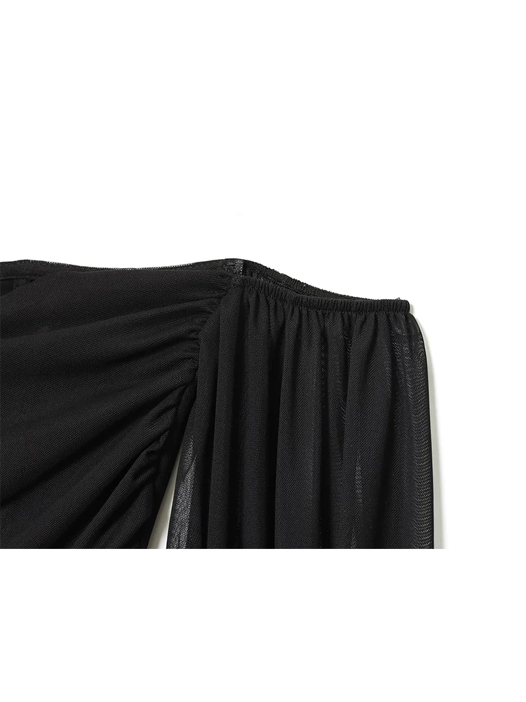 TFMLN Top con scollo a barchetta per donna Manica a sbuffo trasparente sottile sexy Elegante camicetta a maniche lunghe con spalle scoperte Abiti da festa chic femminili