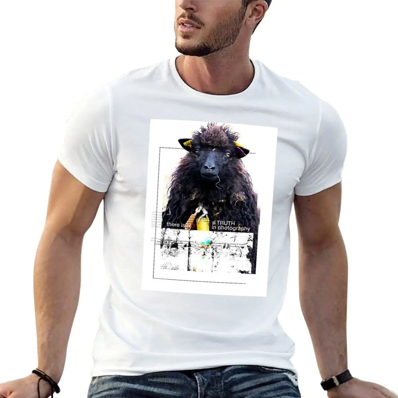 Faroe sheep T-Shirt man t shirt luxury anime t shirts for man essential t shirt T-shirt