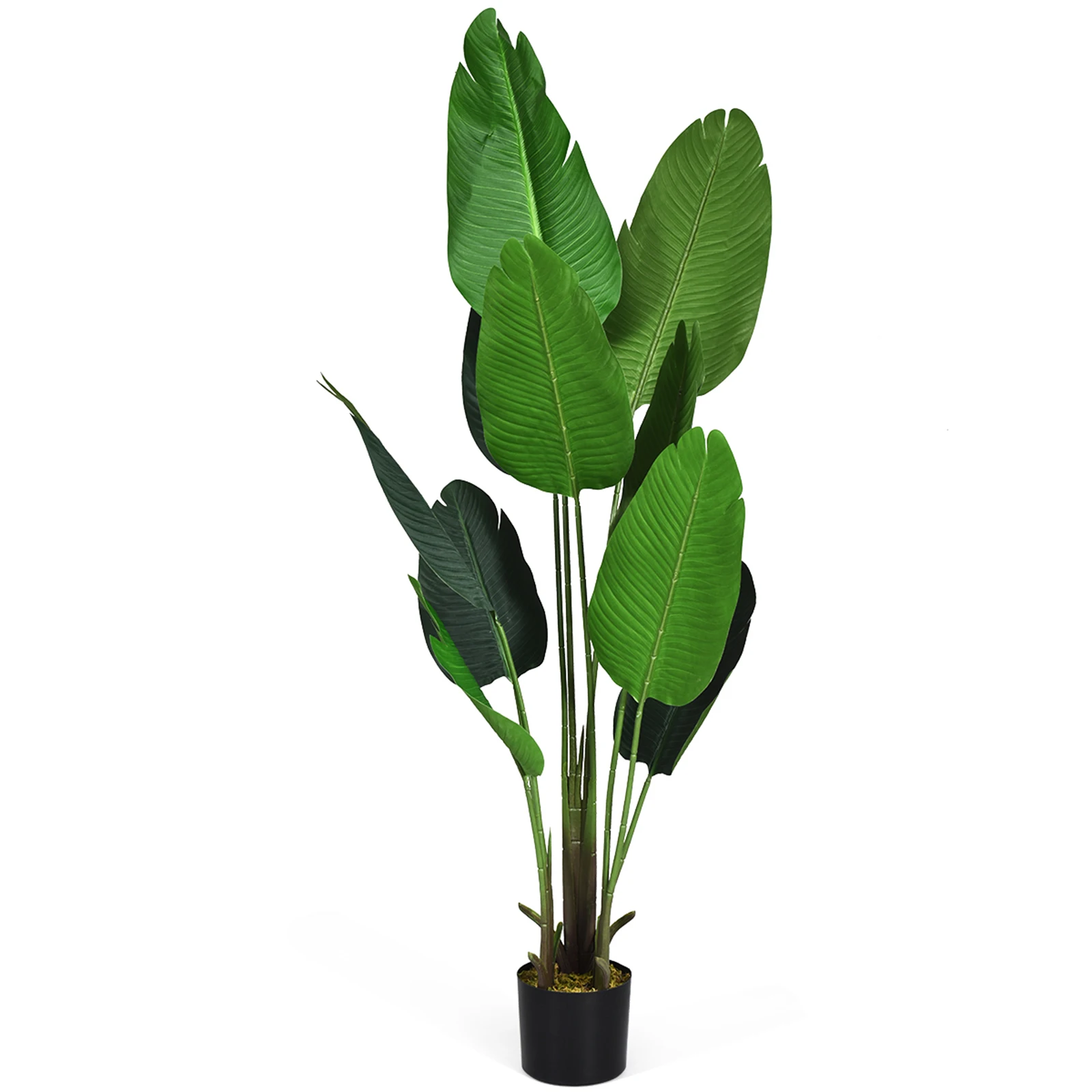 160cm Art plant Tropical Palm Artificial Monstera Snake plant Room plant with Stable Pot & 10 Leaves plant