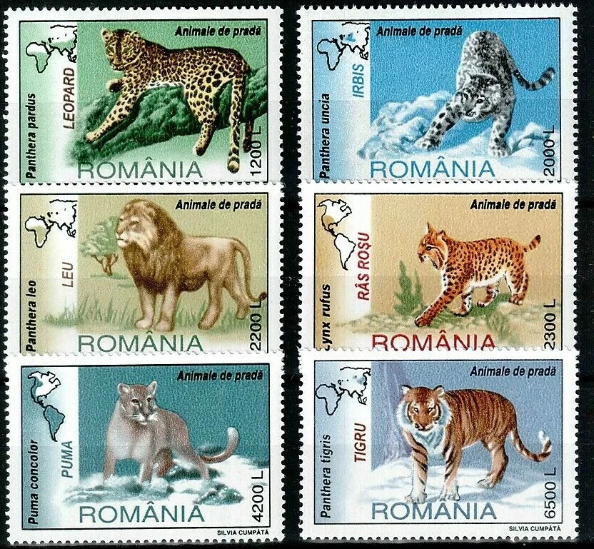 6 unids/set nuevo sello postal de Rumania 2000 animales felinos, tigres, leones, leopardos de las nieves sellos postales MNH