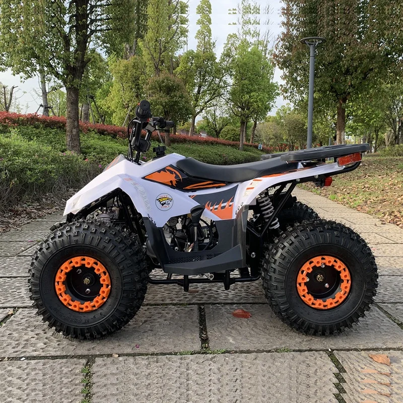49cc Gas Powered Kids ATV 4-Wheeler Automatic Off-Road Quad Bike Mini All-Terrain Vehicle with Rear Rack & LED Headlight