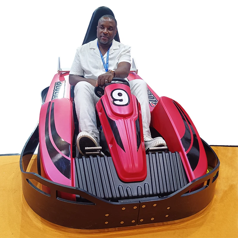 

60km/h High Speed Adult Racing Go Karts Professional Karting Playgrounds Kart Clubs 1 Seat Amusement Park Rides OEM Wholesale