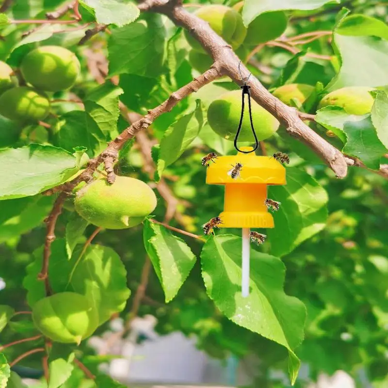 

Fly Catcher Outdoor Gnat Trap Fruit Fly Trap Cover Patio Fly Traps Lid Reusable Fruit Fly Catcher Outside Fly Traps Fly Bait