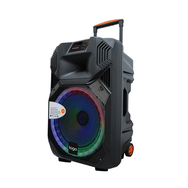 Bluetooth Trolley Speaker Active Trolley Speaker 15 Inch Portable Trolley Speaker With RGB Light