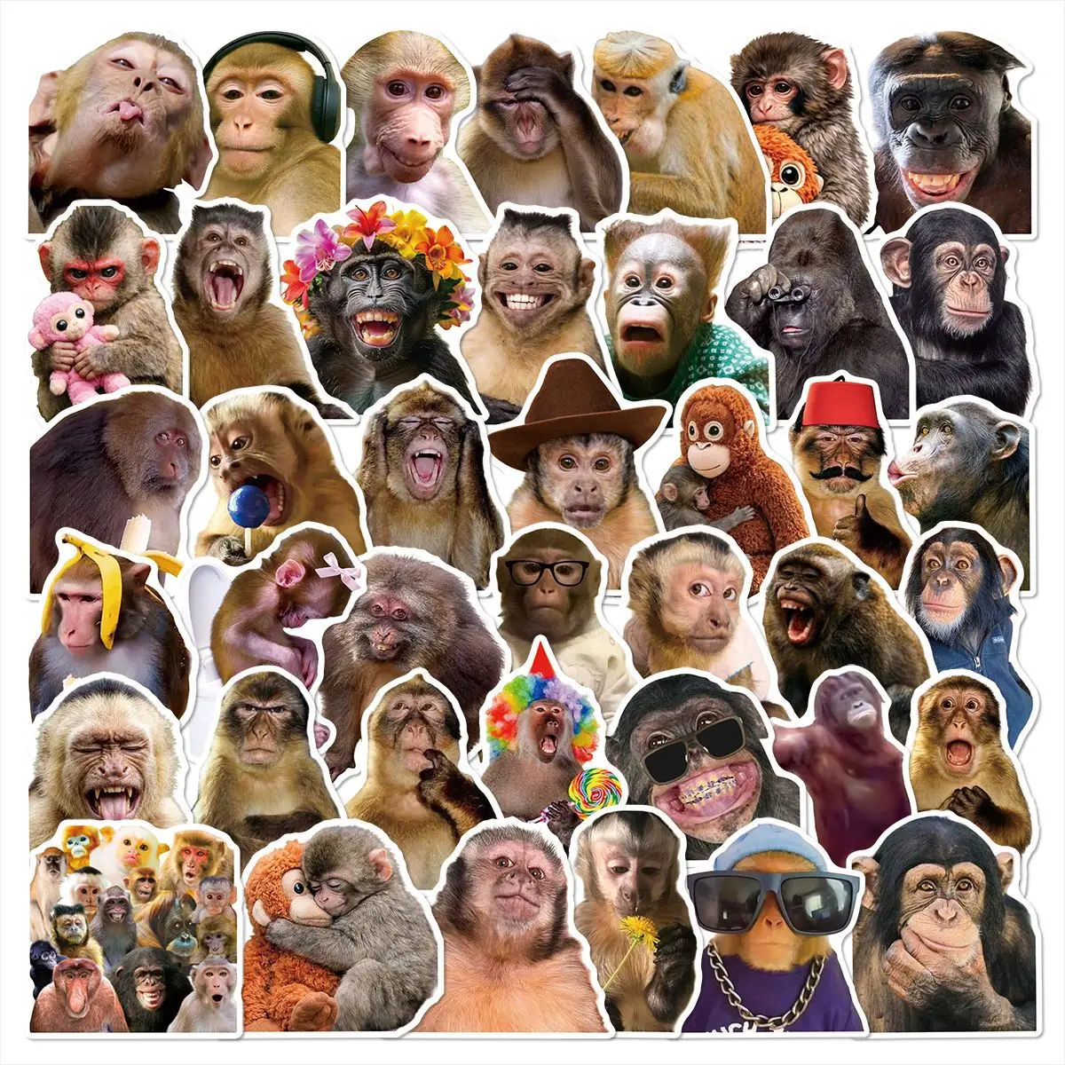 

50Pcs Crazy Funny Monkey & Orangutan Doodle Stickers Waterproof Decals for Stationery Notebook Helmet Motorcycle Suitcase Fridge