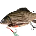 Carp Color