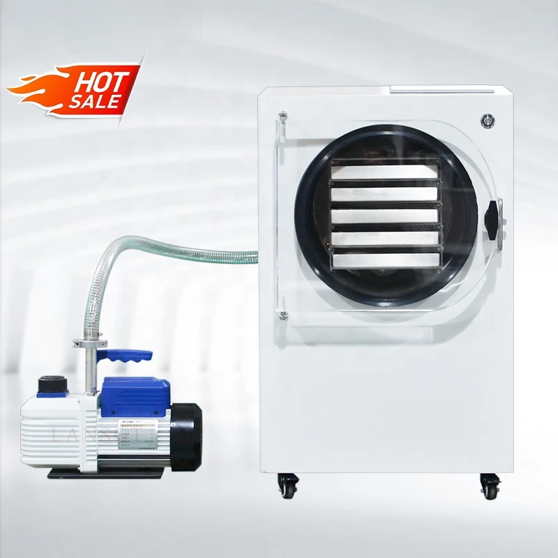 High-Efficiency 1 Cubic Meter Freeze Ryer With Intelligent Touch Screen Control For Foo Processing, Factory Price, LANSGT