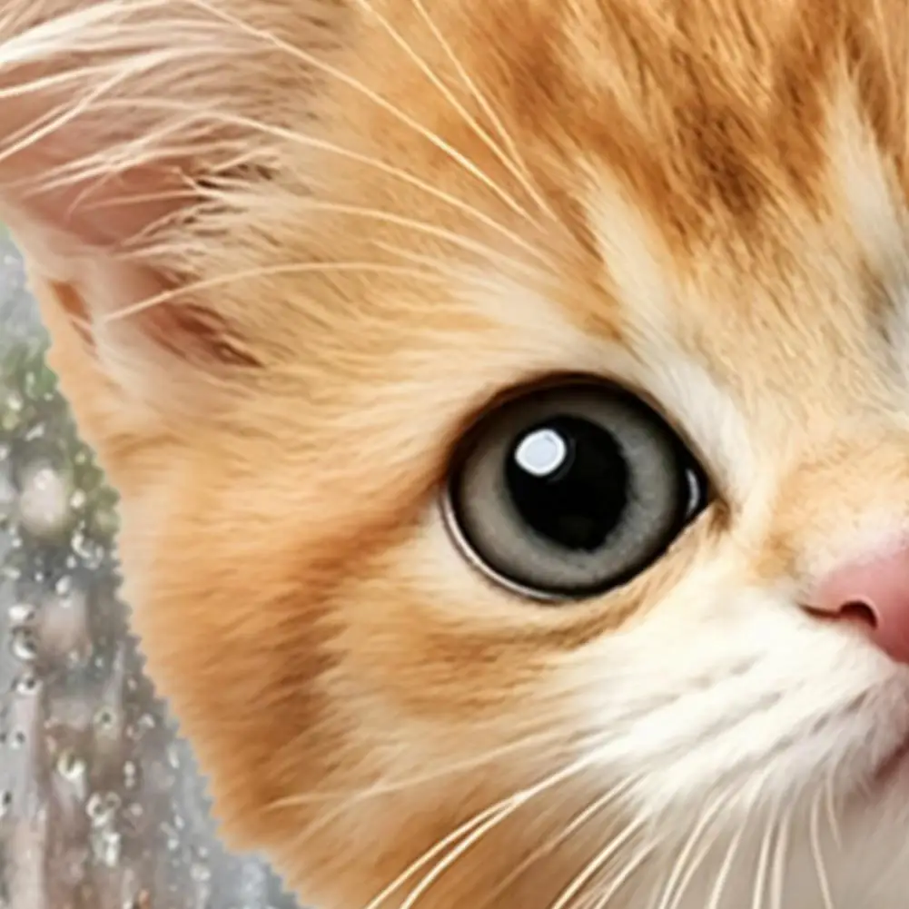 Durable Outdoor Window Decals Cute Peeking Window Clings Cartoon Cat Dog Glass Stickers Waterproof Removable for Kids for Kids