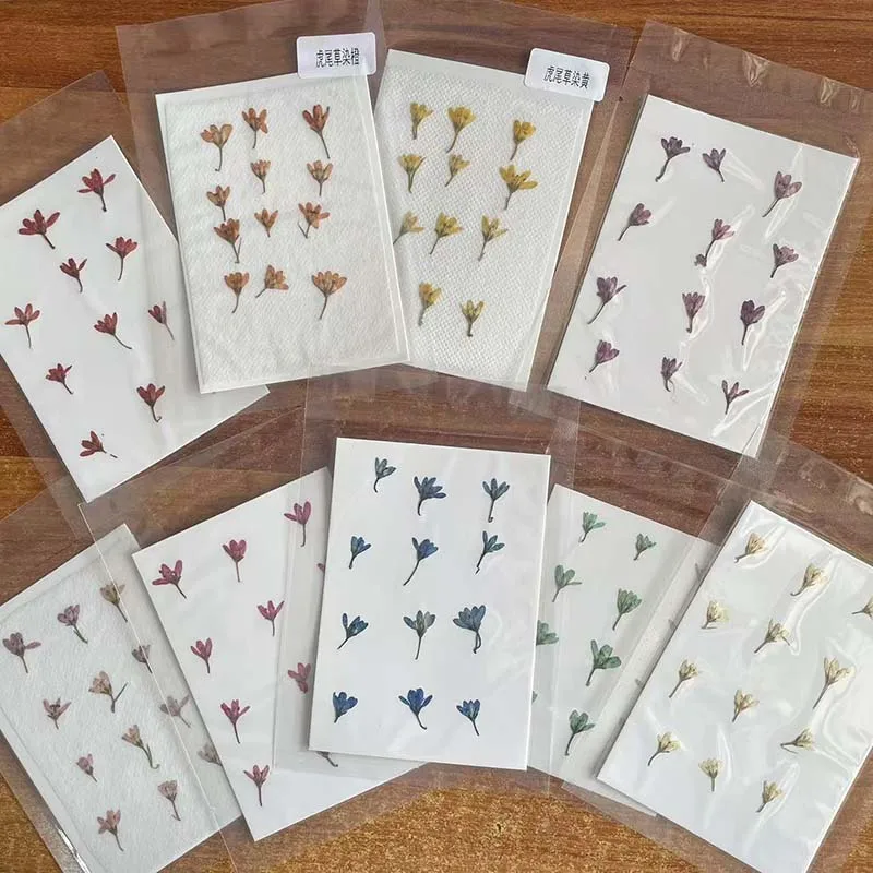 1~2CM/Decorative Real Natural Dried Pressed Speedwell Flowers,Tiny Dry Press Chloris Virgata for Epoxy Resin,Nails,Candle Making
