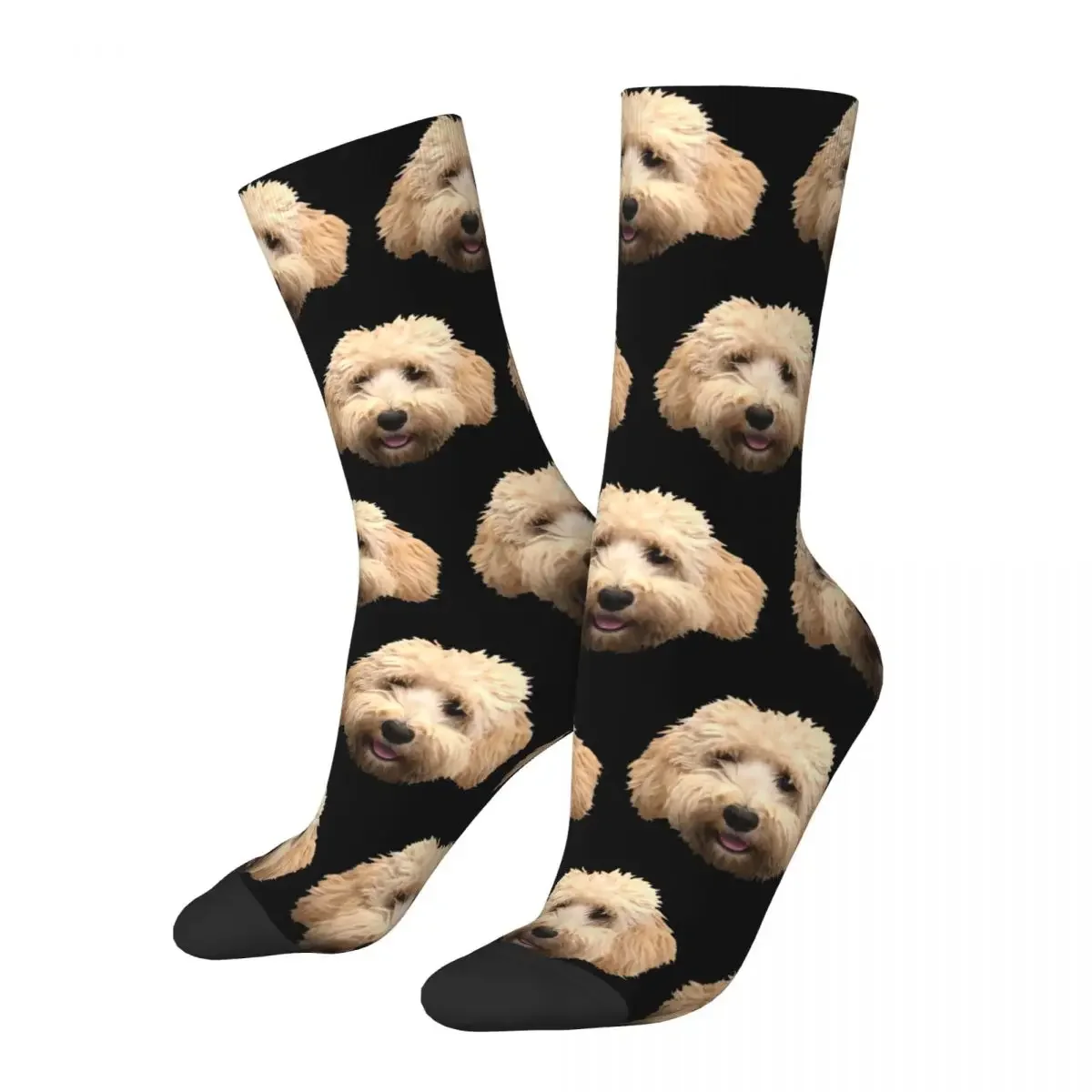 

Rosie The Goldendoodle Socks Harajuku High Quality Stockings All Season Long Socks Accessories for Man's Woman's Gifts