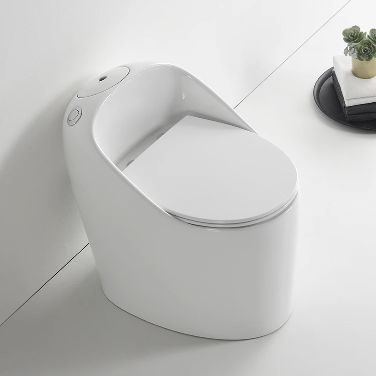 Modern Hotel House Sanitary Ware Floor Mounted S Trap Toilet Bowl Bathroom Ceramic One Piece Toilet Commode