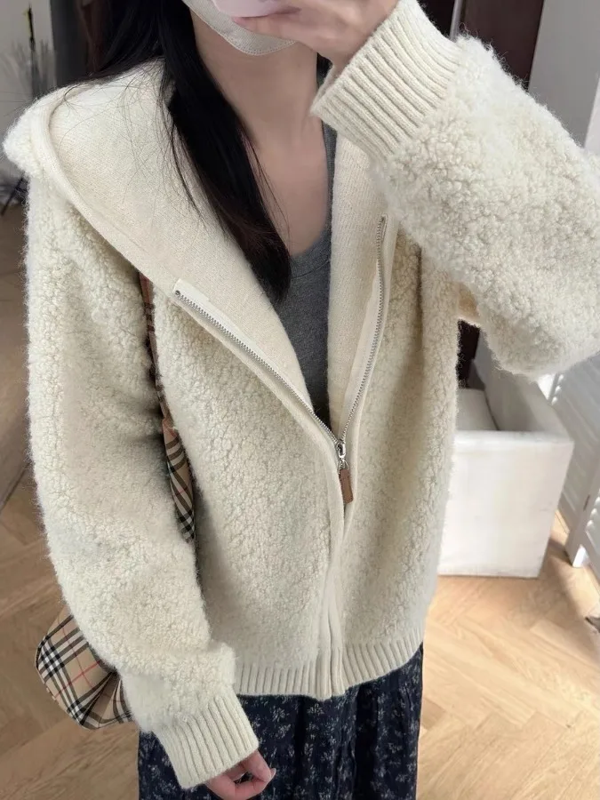 Chic Hong Kong Style Zipper Hoodie Knitwear Soft Cozy Versatile Loose Fit Spring Autumn Winter Women's Casual Daily Wear