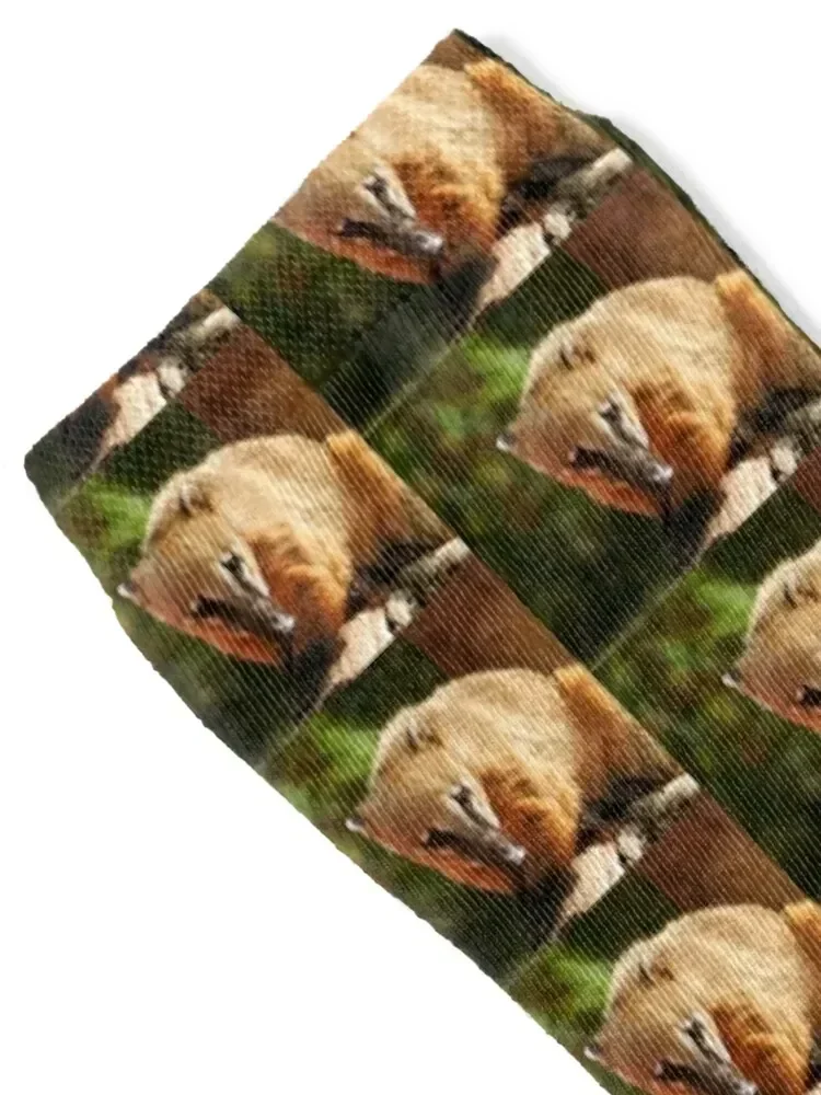 Ring Tailed Coati Socks funny sock valentine gift ideas new year Socks Male Women's