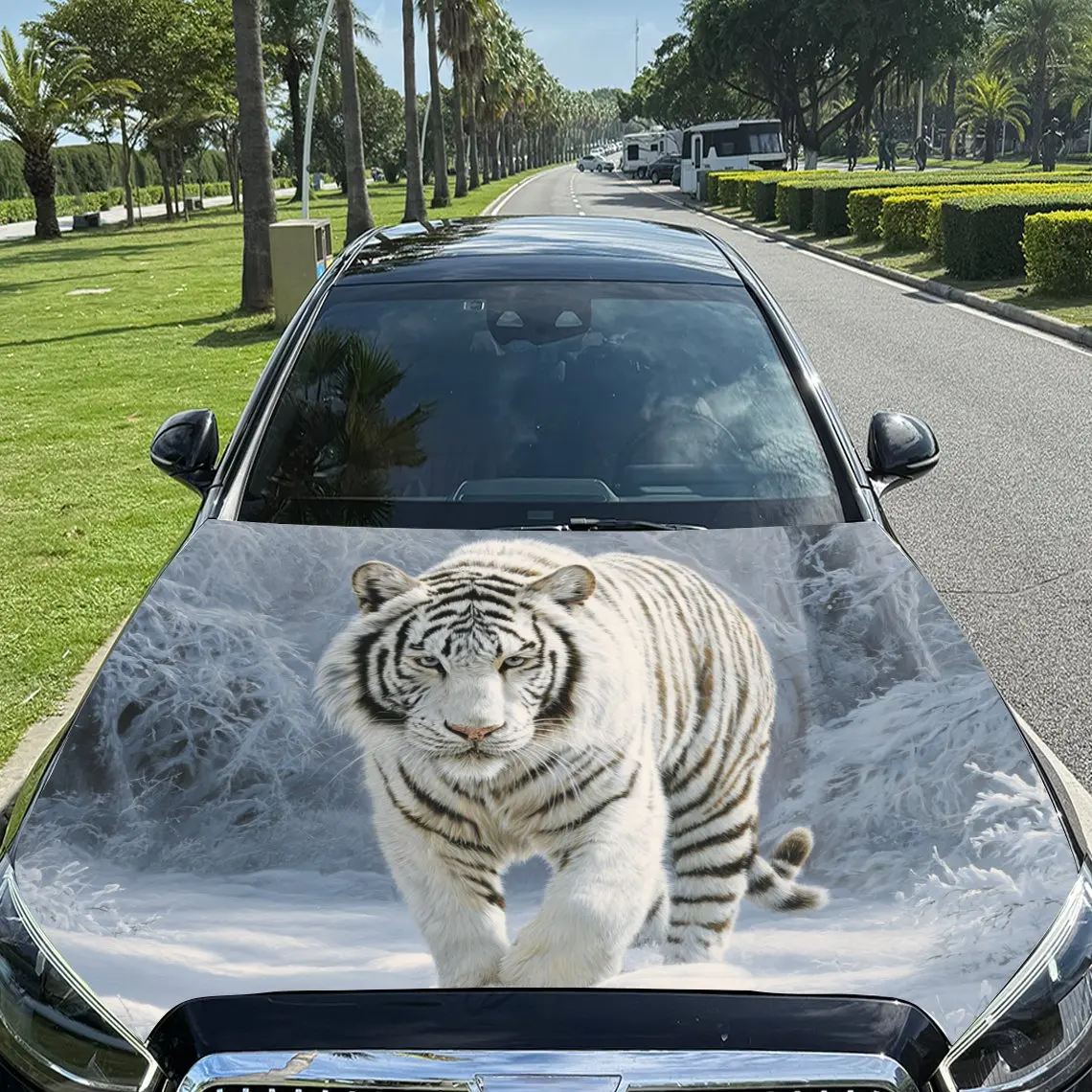 

Автомобильные наклейки «Белый тигр» с выдающимися черными полосками, реалистичным стоком и светом — Hued, Natural — выглядящий фон на капот автомобиля S