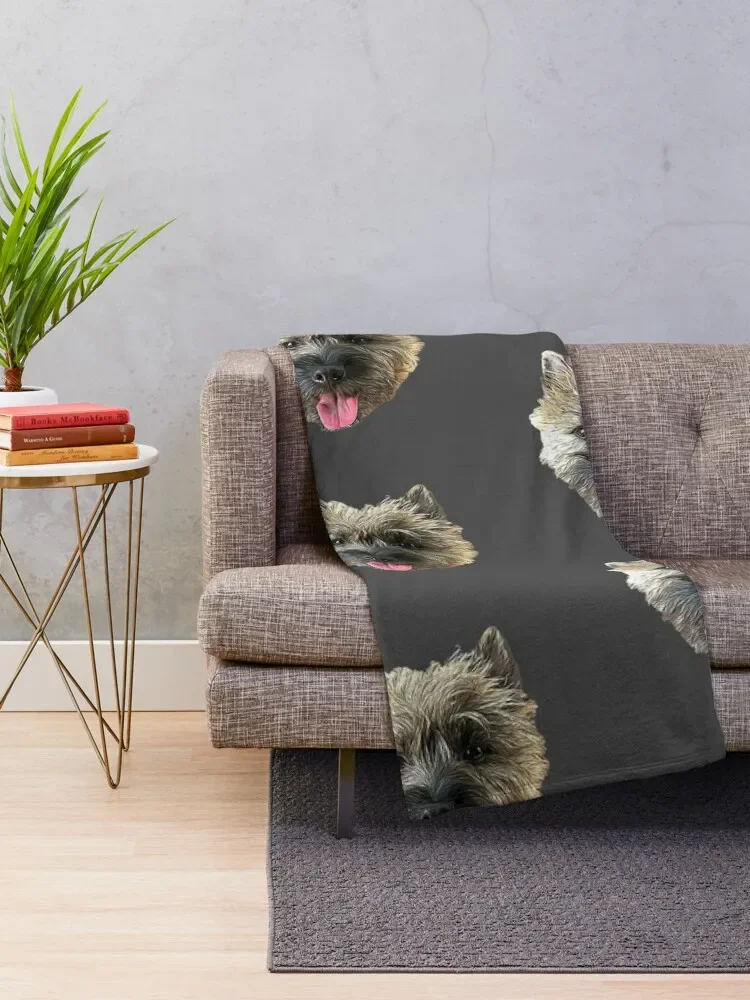 Cairn Terrier Beautiful Dog Throw Blanket sofa bed Shaggy Blankets