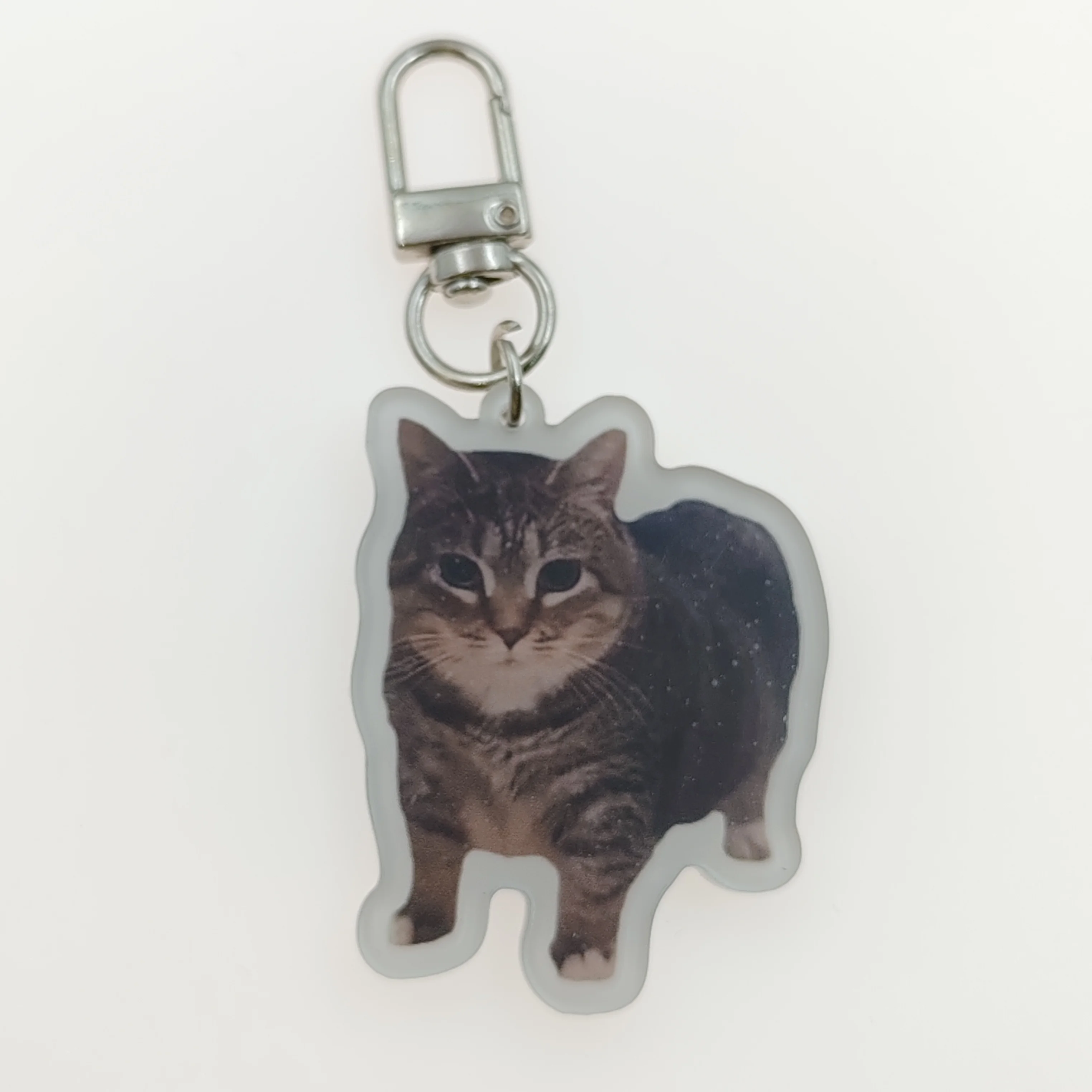 Whimsy Cat Acrylic Cat Keychain Charms - Assorted Angry Cat Designs, Durable Plastic Keyring Pendant for Backpacks, Cute Gift