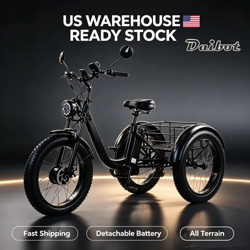 STROVAN Fat Tire 3 Wheel Electric Cargo Trike Removable Battery for Adult Users US Local Warehouse in Stock Fast Shipping