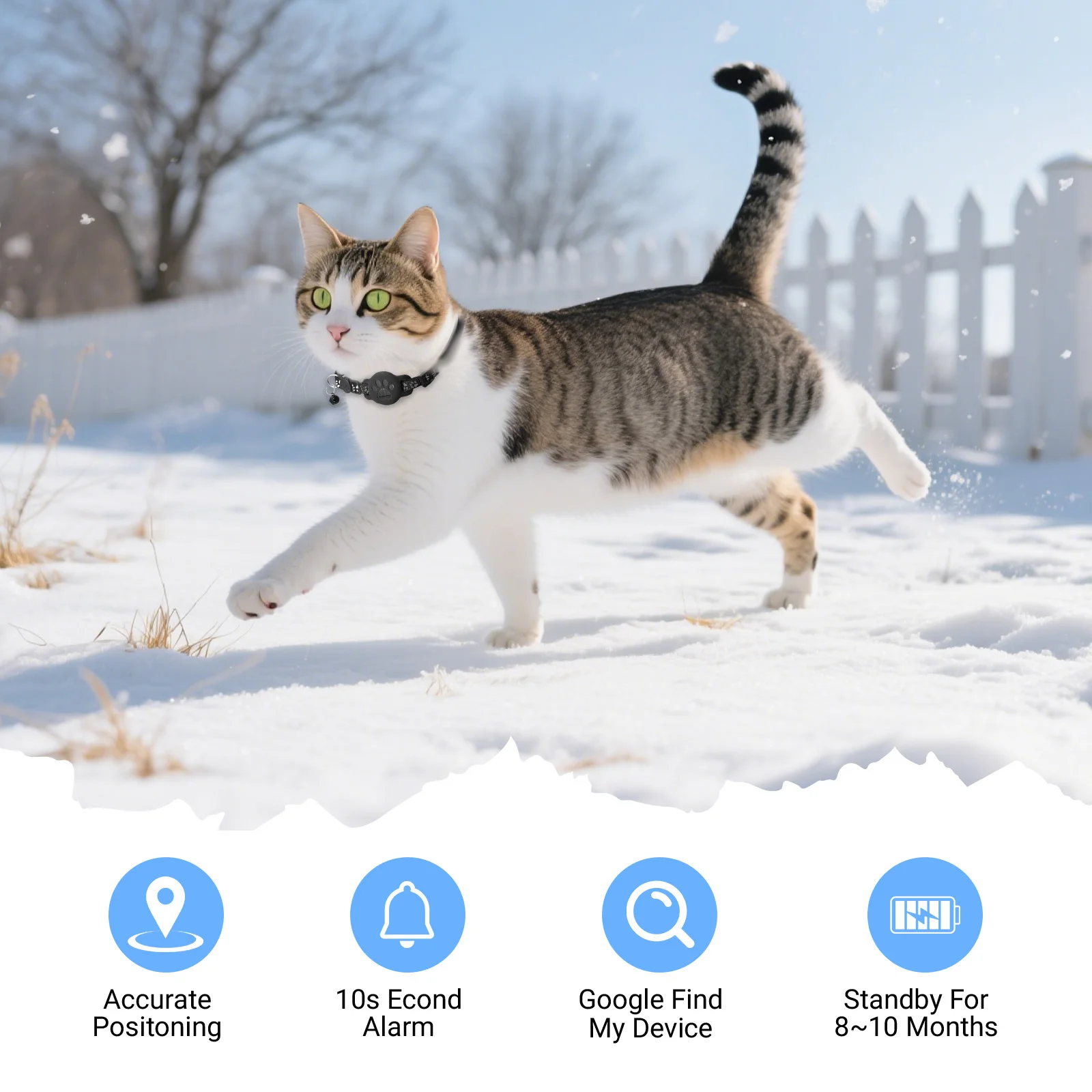 Thumbnail 2 - #32 Ranked Adjustable Pet Collars Picks in 2026