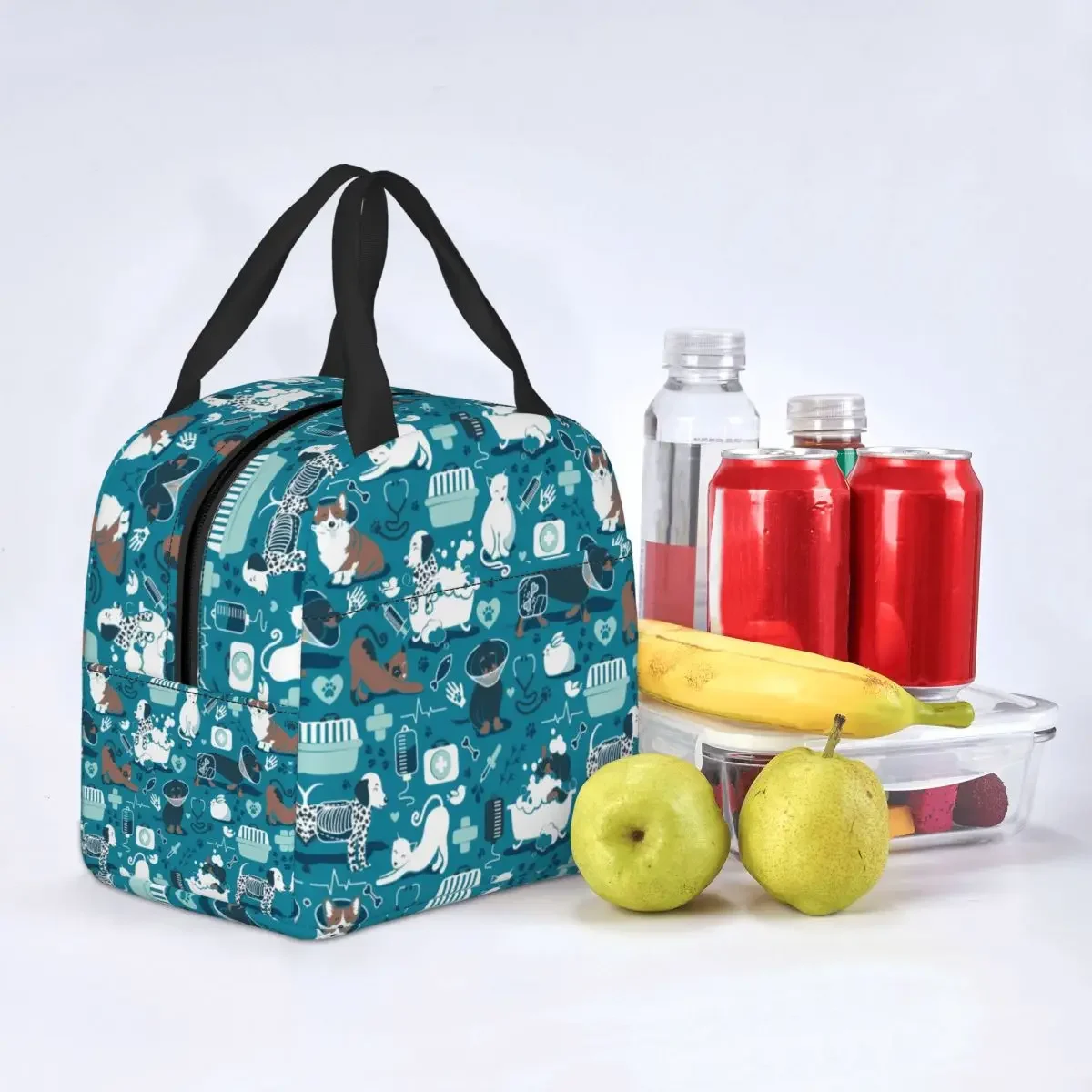 Veterinary Medicine Dachshund Dogs Cats Insulated Lunch Bags for School Office Leakproof Cooler Thermal Lunch Box Women Children