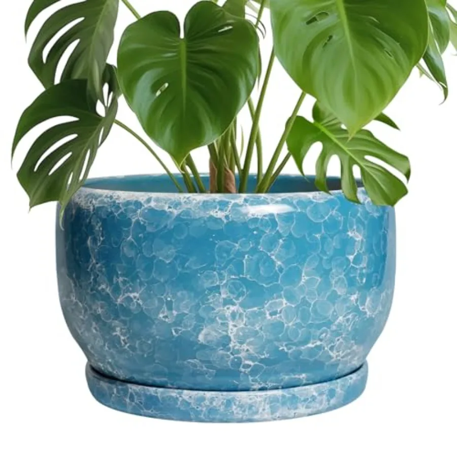 Ceramic Planters - …
