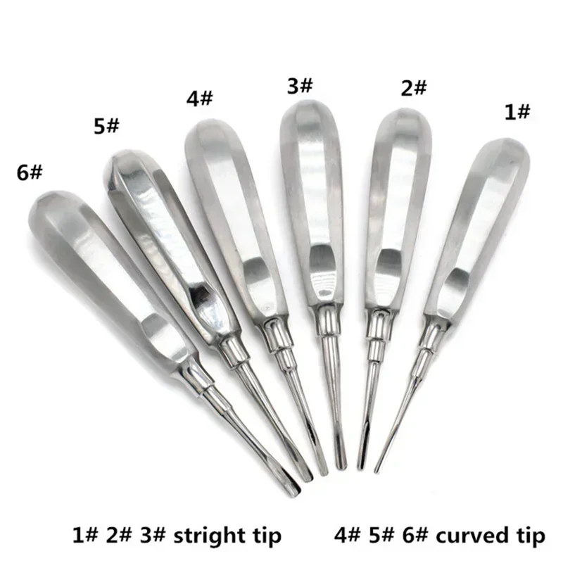 Kit d'outils flacon de dents en acier inoxydable, portable, ascenseur dentaire, racine incurvée droite, outil de dentiste, robuste, durable, 1 pièce