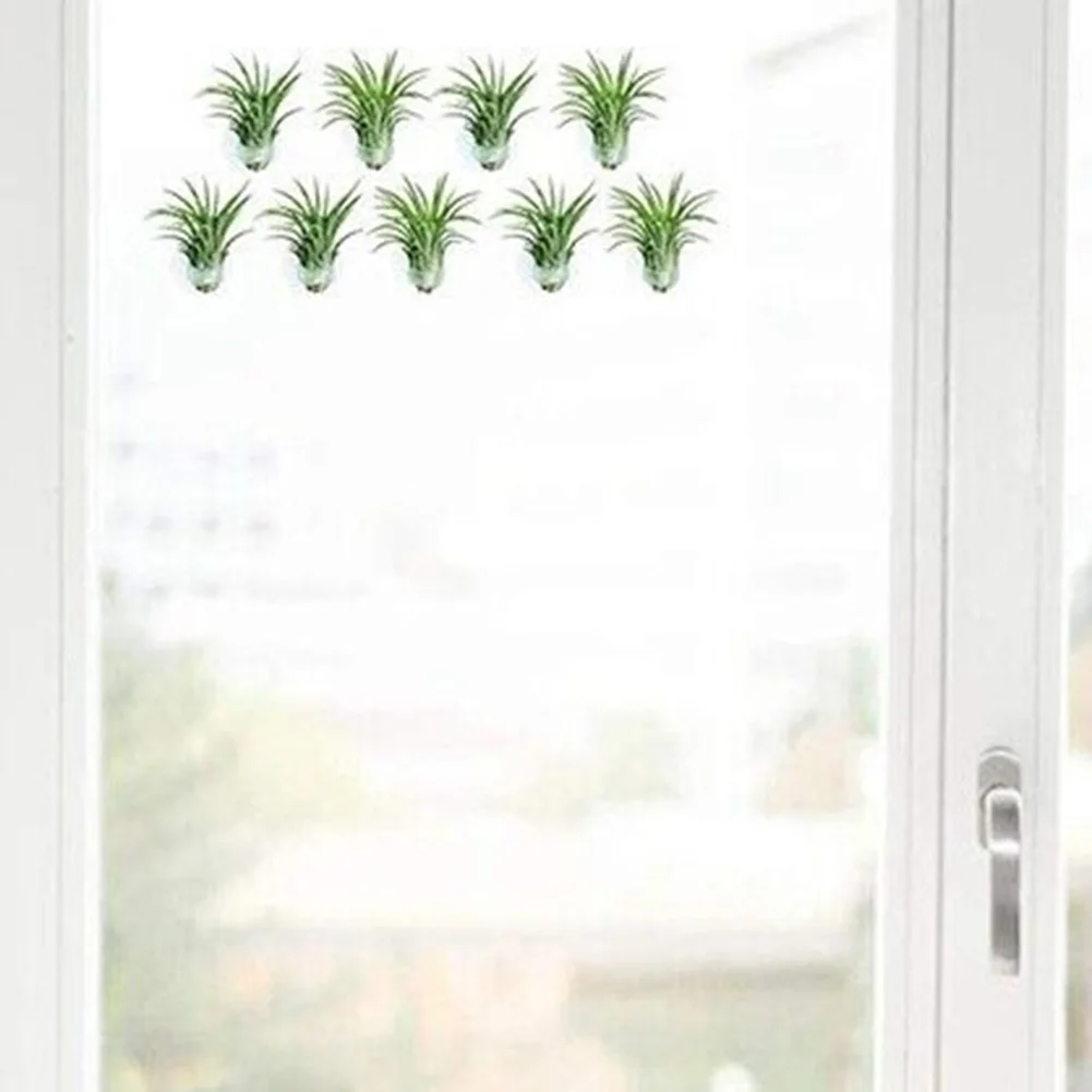 High Quality Plant Holder Garden Accessories Office White For Decorating Home Strong Suction Tillandsia Stands
