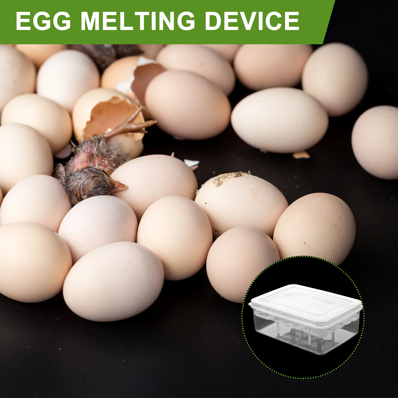 

2Pcs Reptile Egg Hatchery Tray Transparent Plastic 16 Compartments Egg Incubation Box Hatch Breeding Storage Tool for Small