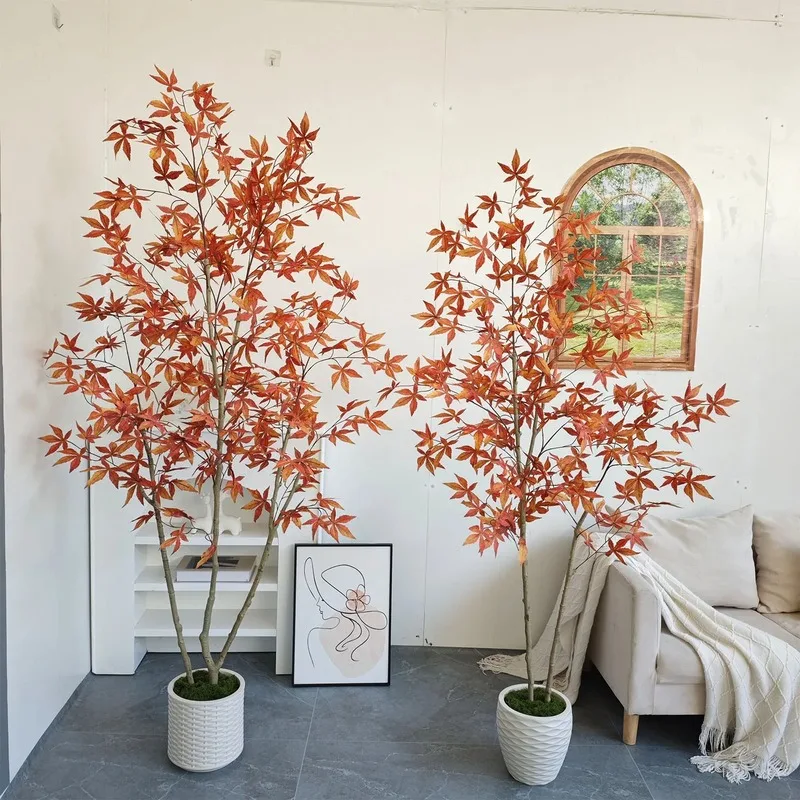 exotic indoor plants