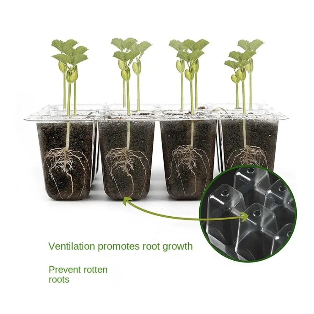 6/12Grids Seed Starter Tray Mini Greenhouse Seeds Growing Cultivation Planting Box with Ventilation Hole Plant Starter Kit