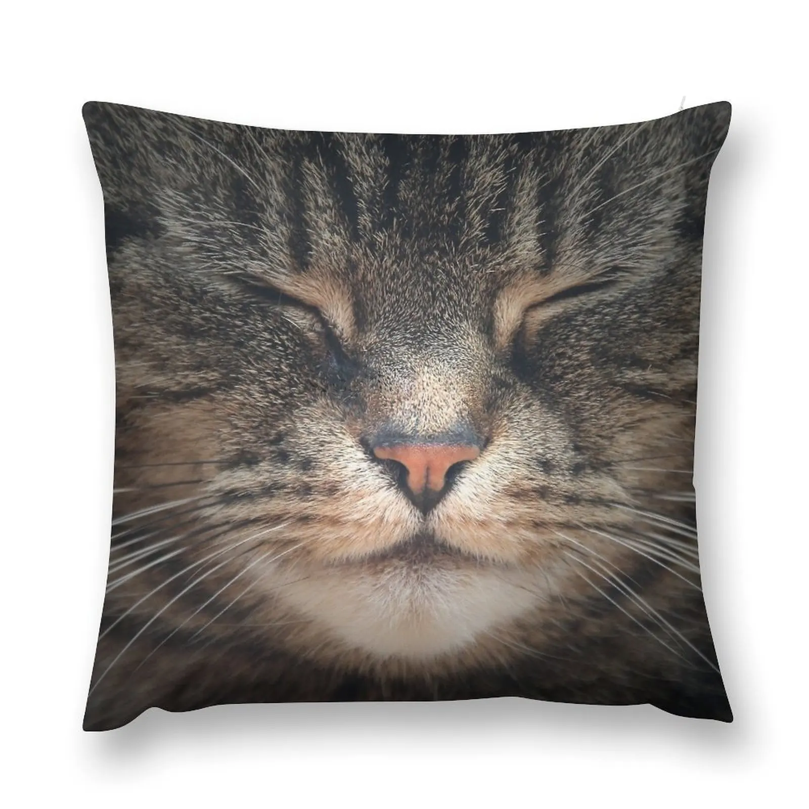 A Tranquil Cat Throw Pillow Cushion Child autumn pillowcase Christmas Pillows pillow