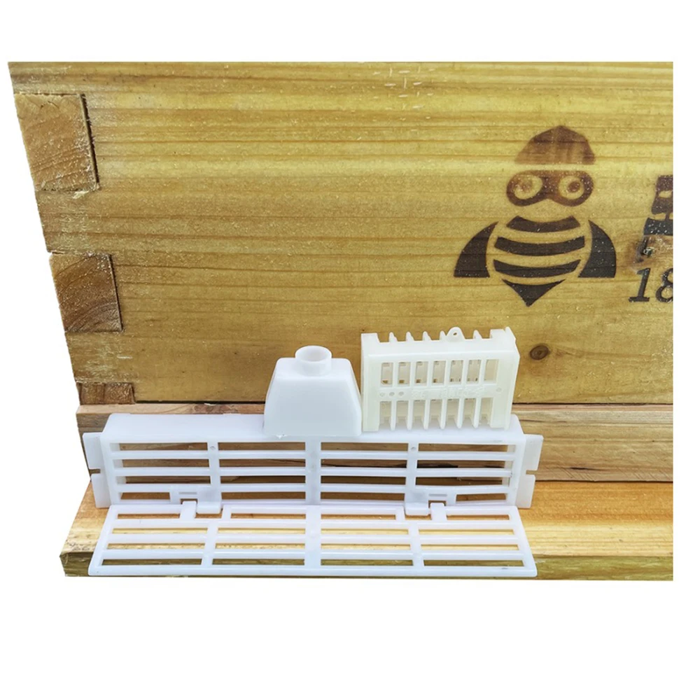 Beekeeping Kit Tools Plastic Prevent Queen Bee Escaping Anti-running Beehive Door Nest Frame Cage Sorter New King Breeding Farm