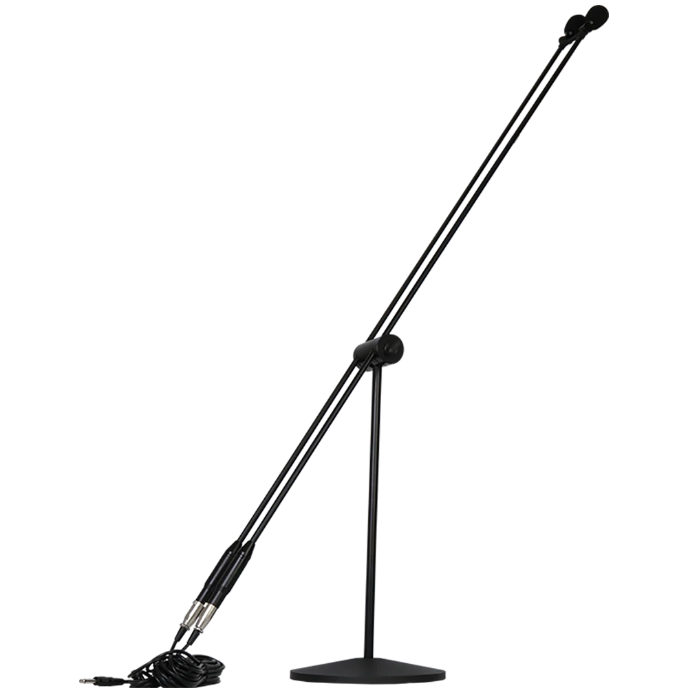 

Depusheng H78 Vertical Professional recording speech capacitive dual core stand mic Pickup arm standing microphone