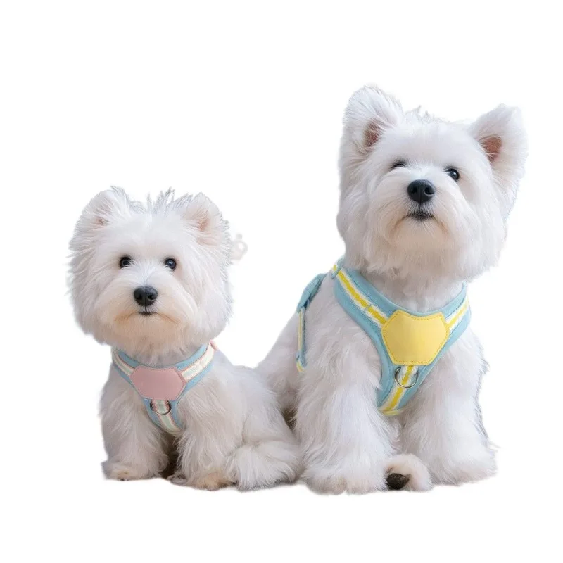 Dog leash, small dog pet, chest and back leash, puppy dog walking leash out