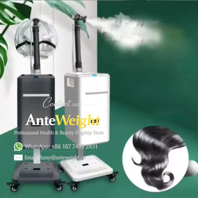 Professional Multi-function Nano Mist Hair Steamer with Cap Hair Scalp Care Ozone Repair Mist Spray for Hair Salon Barber Shop