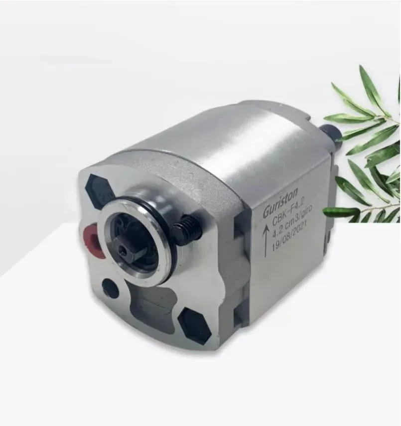 CBK Gear Pump CBK-F2.1/F1.6/F3.2/F4.8 Hydraulic Oil Pump Lifter Hydraulic Power Micro Gear Pump