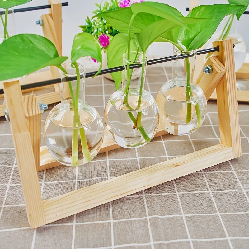Hydroponische Pflanzenglasvase mit Holzständer Desktop Einfache Heimdekoration Grünpflanzen-Kultivierungsbehälter