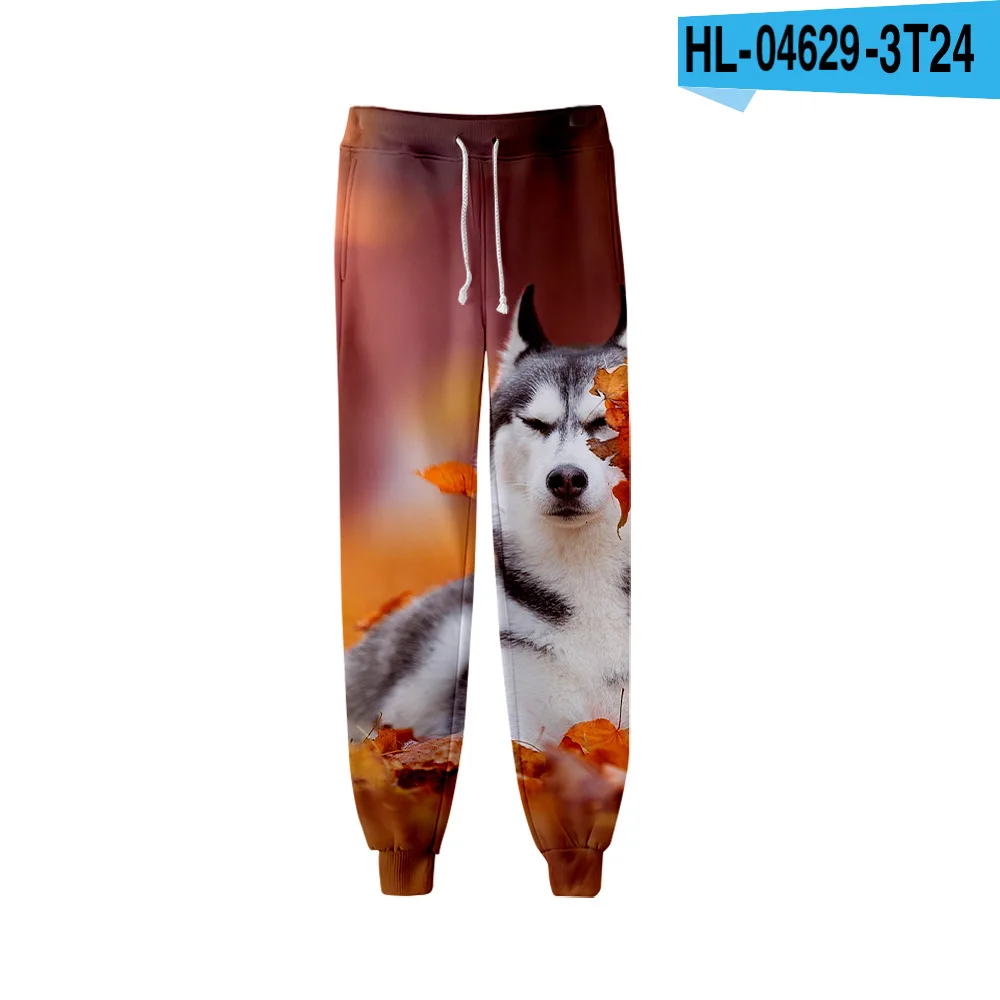 Celana olahraga pria, celana Y2k hewan Husky Dog Y2k pria 3D cetak jogging kasual celana Golf Hip Hop pakaian olahraga Pantalon Homme Streetwear