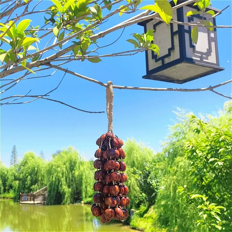 Handmade Fruit Shell Hand Bells Sound Healing Wind Chimes Yoga Relaxation Hanging Wind Bell Outdoor Meditation Accessories