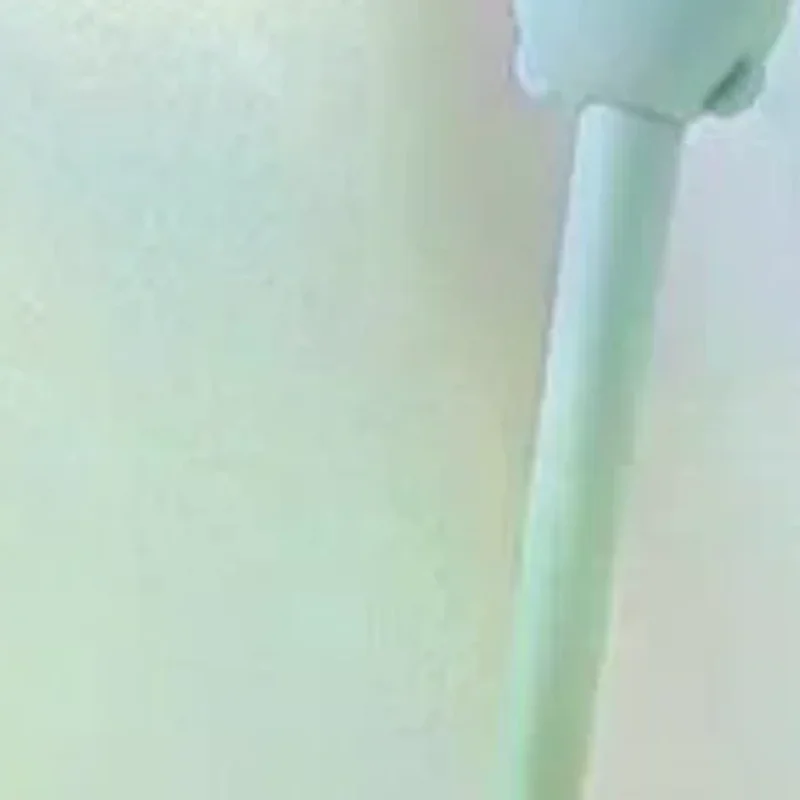 2 In 1 Long Handle Bath Brush With Soft Bristles And Loofah Puff For Home Shower Back Scrubbing Body Cleaning