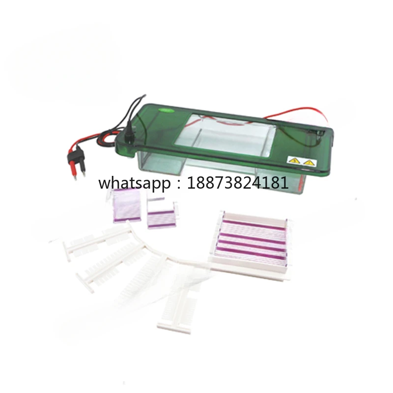 HC-B024B Horizontal Electrophoresis tank hospital Laboratory  electrophoresis tank fast shipping