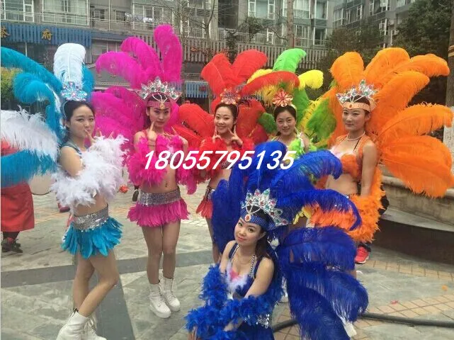

New Brazilian Samba Dance Performance Headpiece Purple Rose Red White Yellow Colorful Headpiece