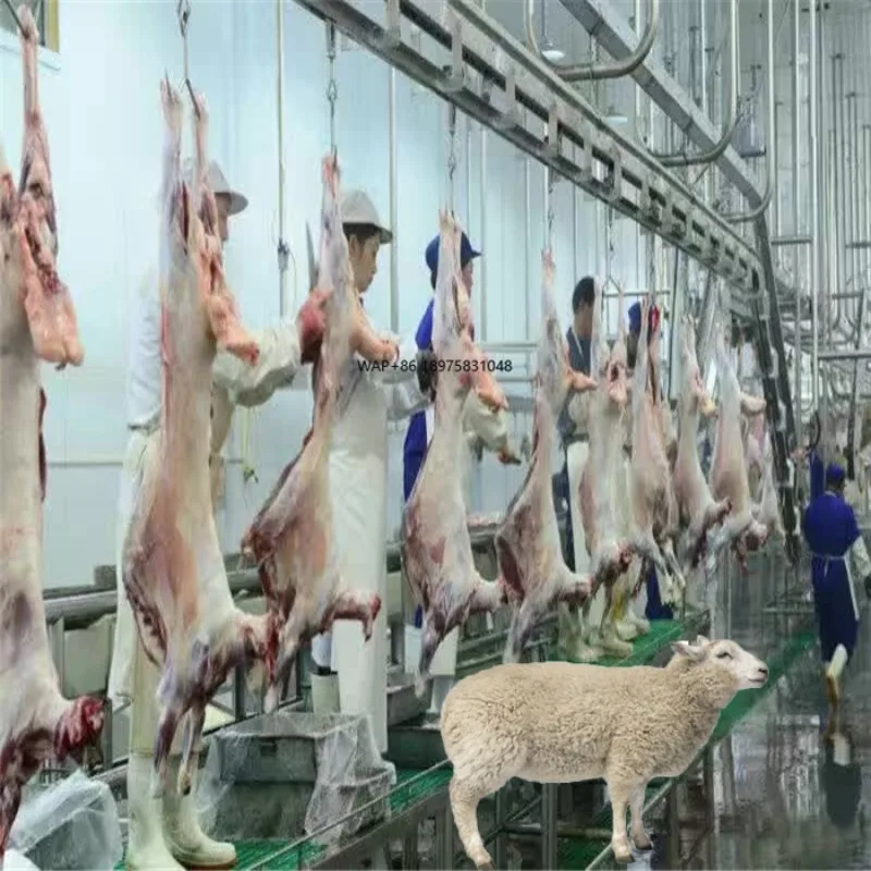 Customizable new construction steel sheep slaughter line automatic 50-1000 capacity manufacturing plant farm