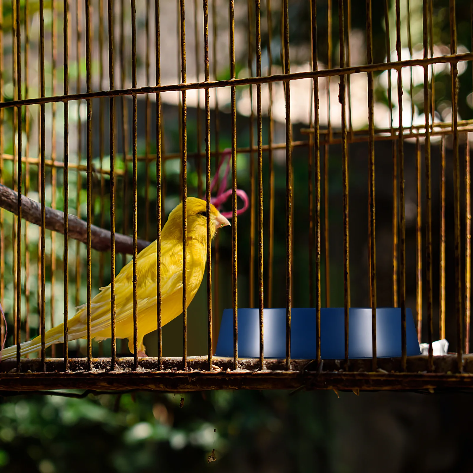 

4Pcs Plastic Pigeon Nesting Bowls Round Design Breathable Plaids Suitable for Egg Laying and Breeding Bird Nests