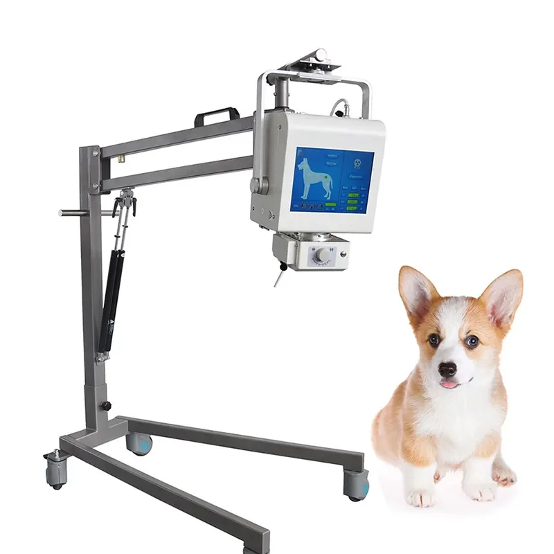 Longermay Hot Sale X Ray Veterinary