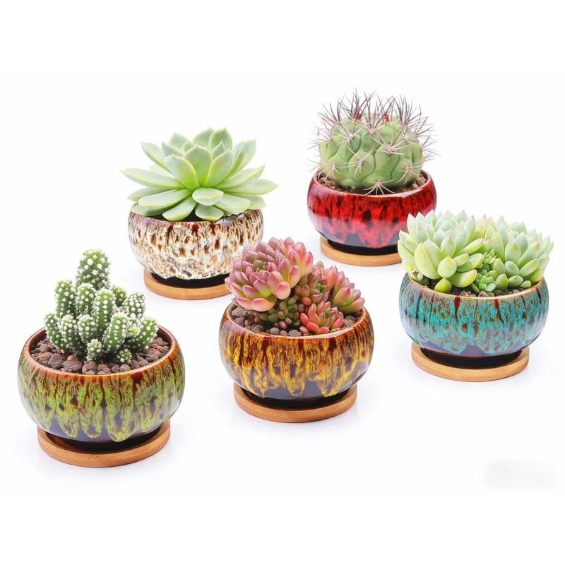 Simple and cute ceramic flower pot5Set4Inch round succulent planter with tray and drainage holes, plants not included
