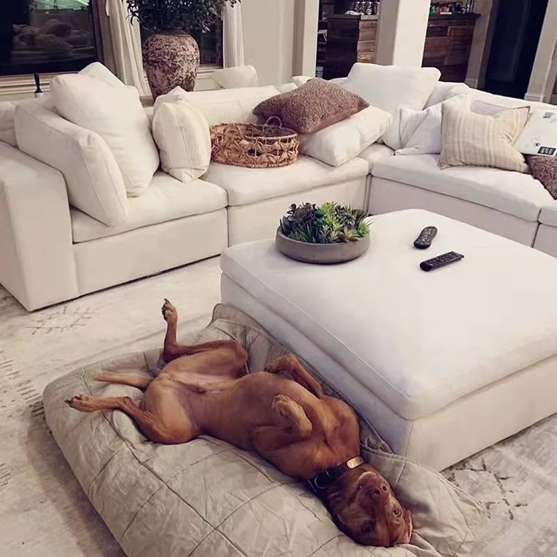 Modern Living Room Sectional Sofa Set Duck Feather Fabric Removable Cover White Sofa Couch