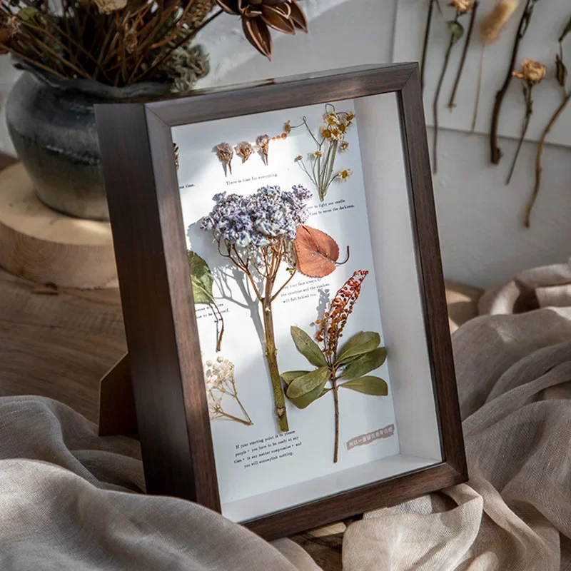 Three-dimensional Hollow Specimen Rack DIY Handmade Photo Frame Table Butterfly Insect Clay Dried Flower Preservation