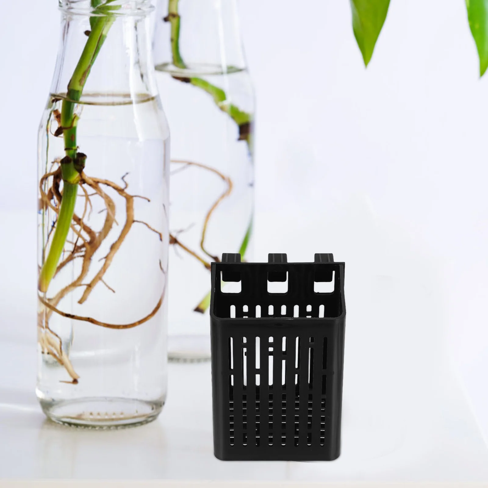 

Hanging Aquarium Plant Holder Black Hydroponic Basket for Fish Tank Space Saving Wall Mounted Aquatic Plant Cup Easy