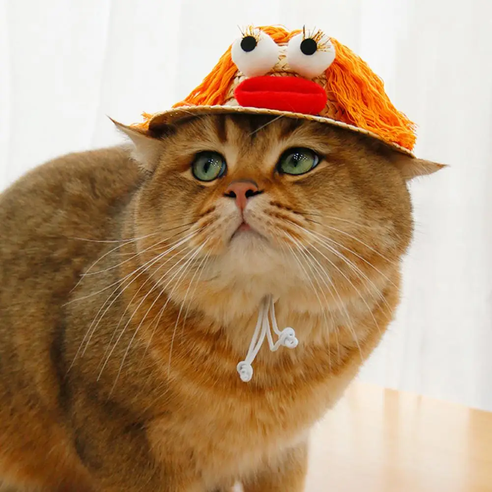 Pet Photo Hat  Photo Props   Cat Headwear Anti-falling Kitty Straw Hat